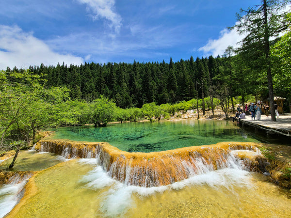 【 Chengdu 】 5 Days 4 Nights