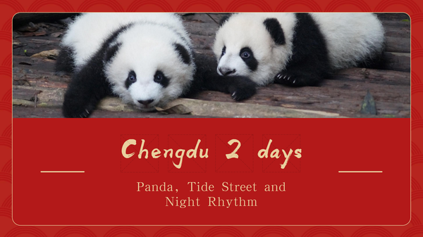 Chengdu 2 days Panda, Tide Street and Night Rhythm