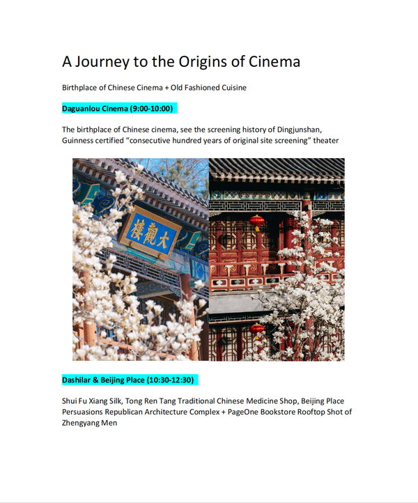 A Journey to the Origins of Cinema
